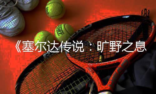 野之挑战尔达息旷传说攻略剑之塞试炼