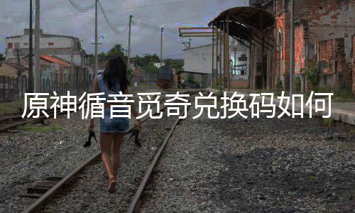兑换兑换得攻觅奇码如觅奇码获原神循音循音何获略取
