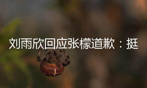 檬道应张雨欣挺好发生欣回扰 和刘刘雨张檬之间 勿什么事情歉