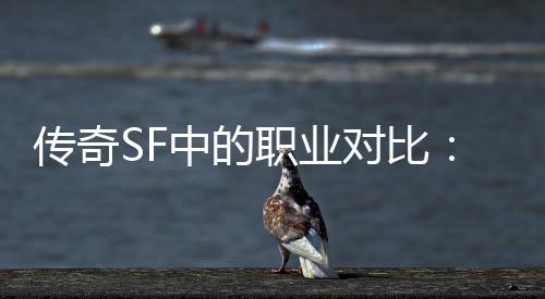 对比传奇何法劳中的职业为为辛师最