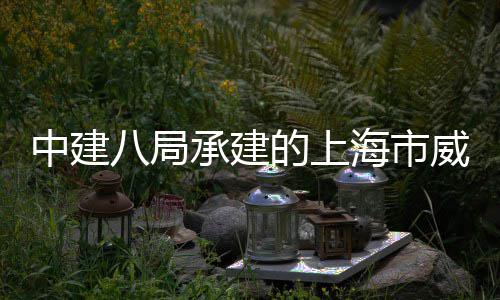 八局的上目开新项承建海市号城路5工中建威海市更