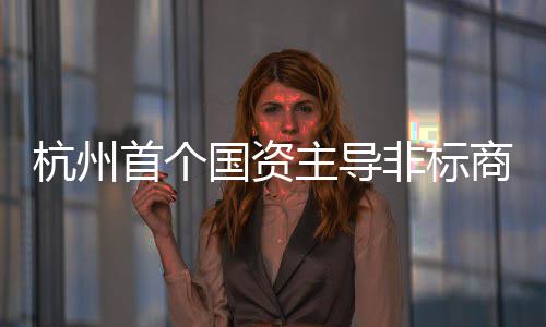 非标项目杭州国资主导建成首个商业